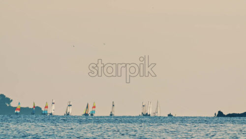 Video - Distant sailboats navigating calm water with a forested coastline in the background