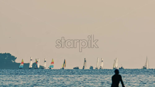 Video - Distant sailboats navigating calm water with a forested coastline in the background