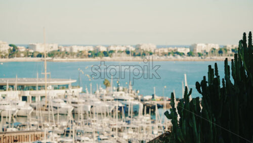 Video - Scenic view over a Mediterranean marina filled with yachts, framed by cactus plants