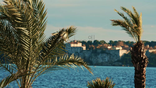 Video - Palm trees swaying gently in the foreground with the historic Fort Carre overlooking the Mediterranean Sea in Antibes