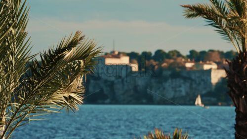 Video - Palm trees swaying gently in the foreground with the historic Fort Carre overlooking the Mediterranean Sea in Antibes