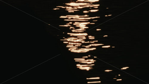 Video - Close up of a pigeon standing on a coastal rock with a thin fishing line tangled around its foot