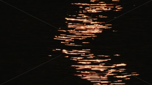 Video - Close up of a pigeon standing on a coastal rock with a thin fishing line tangled around its foot