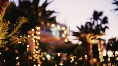 Video - Palm trees decorated with warm string lights, with a building softly glowing in the background during twilight