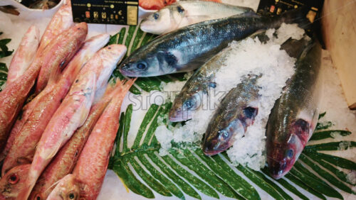 Video - Assortment of whole fish laid on ice with green leaves at a market stall, showing variety and abundance of fresh seafood
