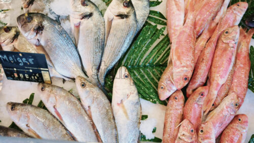 Video - Assortment of whole fish laid on ice with green leaves at a market stall, showing variety and abundance of fresh seafood