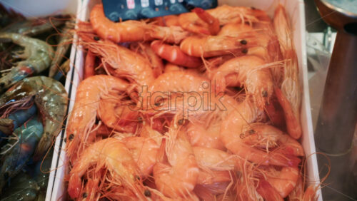 Video - Detailed view of pink prawns piled inside a white plastic box at a fish market
