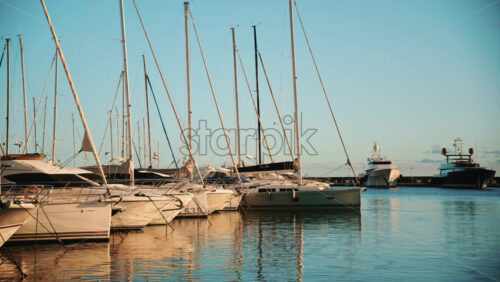 Video - Cannes, France - December 23, 2025: Sailboats lined up in a calm marina with tall masts reflected on still water, while seabirds fly overhead under clear daylight