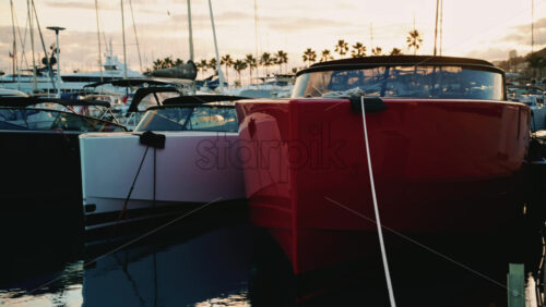 Video - Close up of red and white motorboats moored side by side at a dock, with golden sunset light reflecting on the water