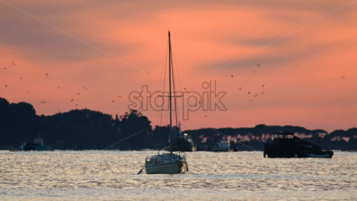 Video - Small boats anchored offshore during sunset, with warm orange and pink tones reflecting on the sea and silhouettes of trees in the distance