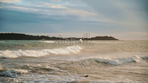 Video - Windsurfer riding waves on the Mediterranean Sea with ile Sainte Marguerite in the background
