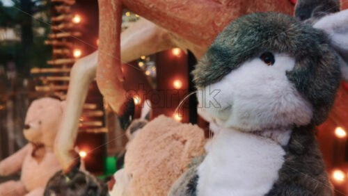 Video - A closer view of a plush rabbit toy in shop window display