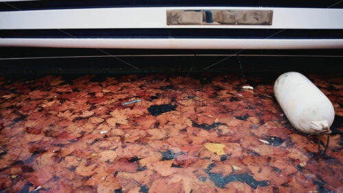 Video - Close up of brown autumn leaves floating on still water next to the side of a moored boat