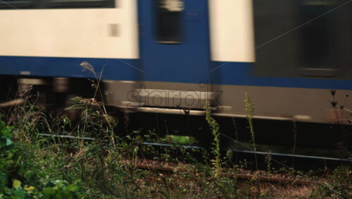 Video - Side view of a passenger train moving past tall grass and plants near the railway tracks