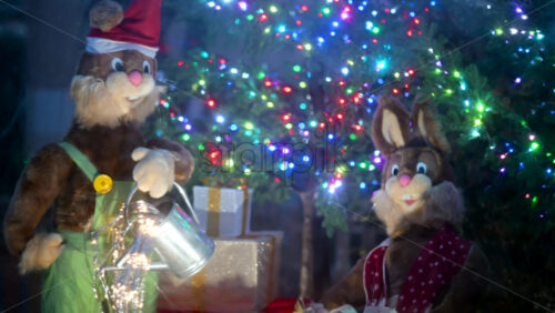 Video – Decorative Christmas window display featuring rabbit figures, gift boxes, and colorful holiday lights - Starpik Stock