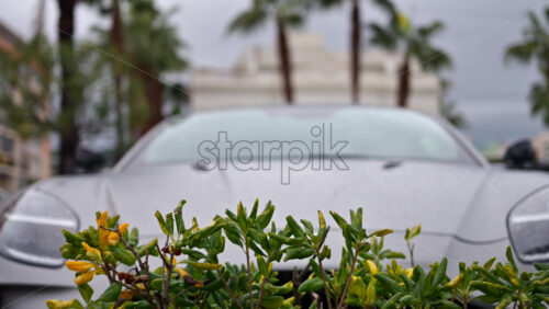 Video – Luxury sports car parked in an urban environment with palm trees and modern architecture in the background - Starpik Stock