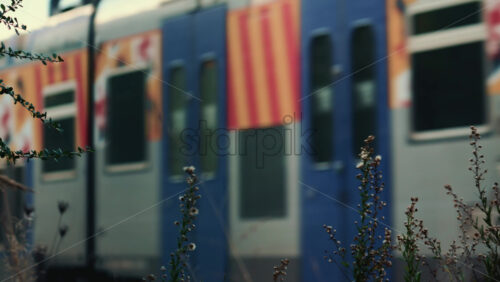 Video – Side view of a passenger train moving past tall grass and plants near the railway tracks - Starpik Stock