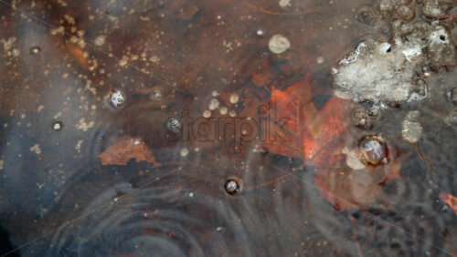 Close up of a brown autumn leaf trapped in a shallow icy puddle with air bubbles and ripples