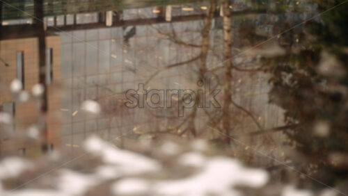 Modern building facade reflected in a water surface surrounded by trees and patches of snow