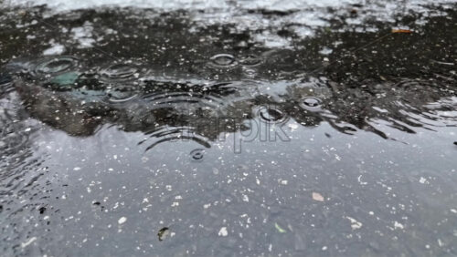 Raindrops hitting a dark asphalt surface, forming circular ripples and reflections during wet winter weather