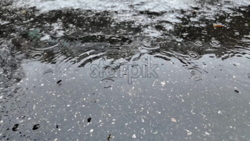 Raindrops hitting a dark asphalt surface, forming circular ripples and reflections during wet winter weather