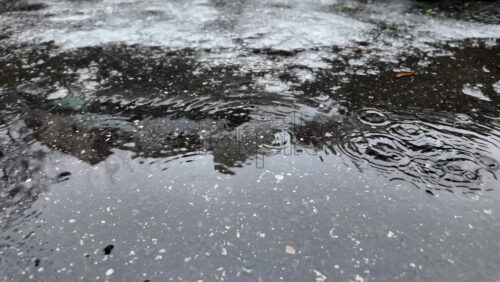 Raindrops hitting a dark asphalt surface, forming circular ripples and reflections during wet winter weather