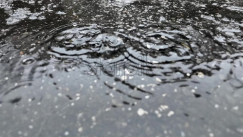 Raindrops hitting a dark asphalt surface, forming circular ripples and reflections during wet winter weather