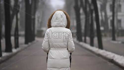 Chisinau, Moldova - January 28, 2026: Rear view of a woman walking alone while pushing a baby stroller along a park pathway in winter
