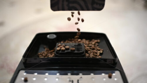 26ian109.mov - Starpik Stock