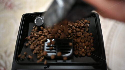 26ian110.mov - Starpik Stock