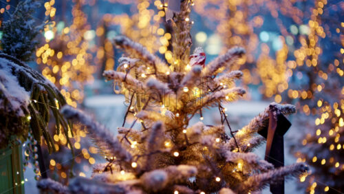 Close up of a small Christmas tree covered in snow and decorated with warm string lights outdoors