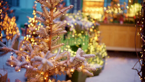 Multiple Christmas trees decorated with warm lights arranged outdoors in a winter setting