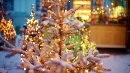 Multiple Christmas trees decorated with warm lights arranged outdoors in a winter setting