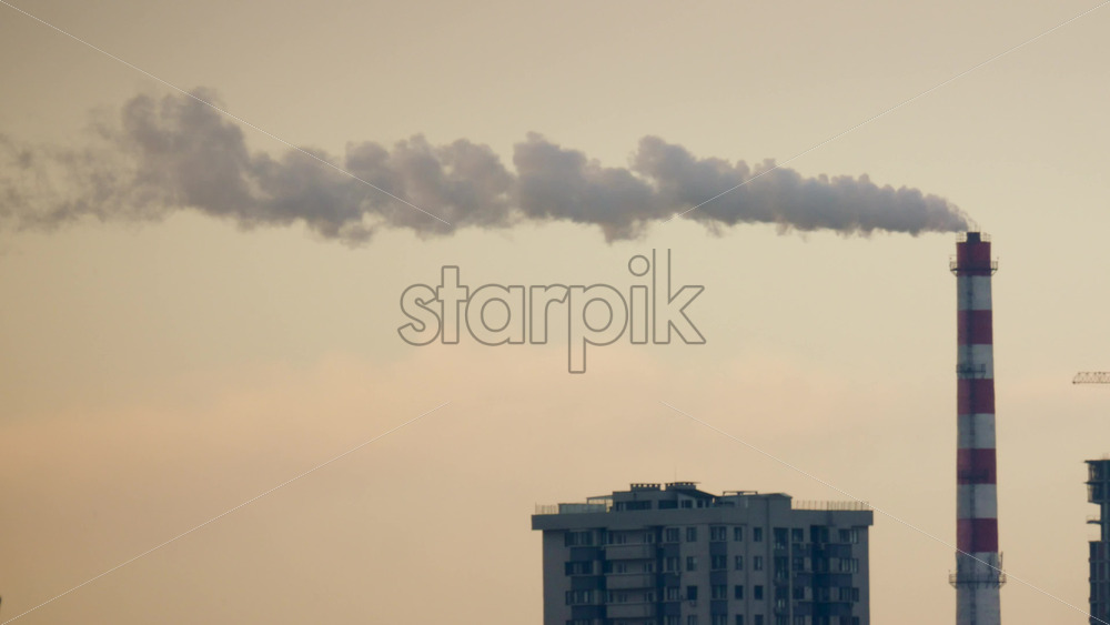 26ian19.mov - Starpik Stock