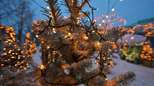 Close up of a snow covered Christmas tree decorated with warm fairy lights at a festive winter market