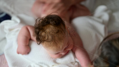 Tender moment of a baby holding an adult's hand while receiving a gentle massage