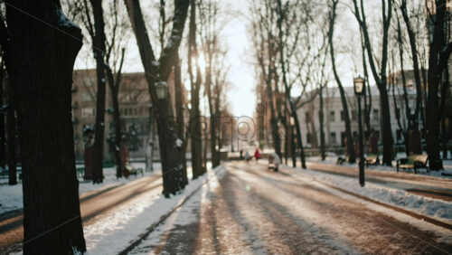 Out of focus view of people walking along a snowy park path during sunset