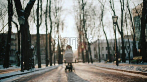 View of a woman wearing a winter coat walking through a park at sunset, pushing a baby stroller