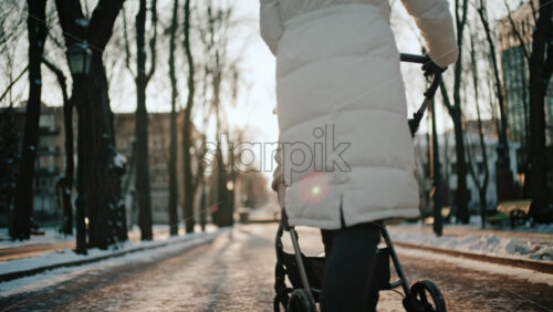 Rear view of a woman wearing a white winter coat pushing a baby stroller along a snowy park path