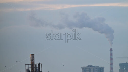 City rooftops on a cold winter day with multiple chimneys releasing white smoke into a pale sky