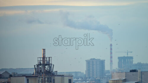 City rooftops on a cold winter day with multiple chimneys releasing white smoke into a pale sky