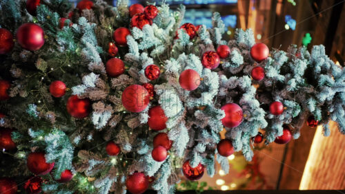 Snow dusted evergreen branches decorated with red Christmas ornaments and warm string lights. Vertical