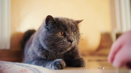 26ian48.mov - Starpik Stock