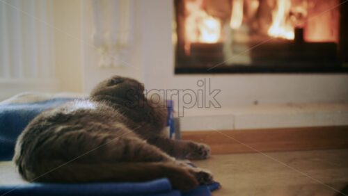 26ian52.mov - Starpik Stock