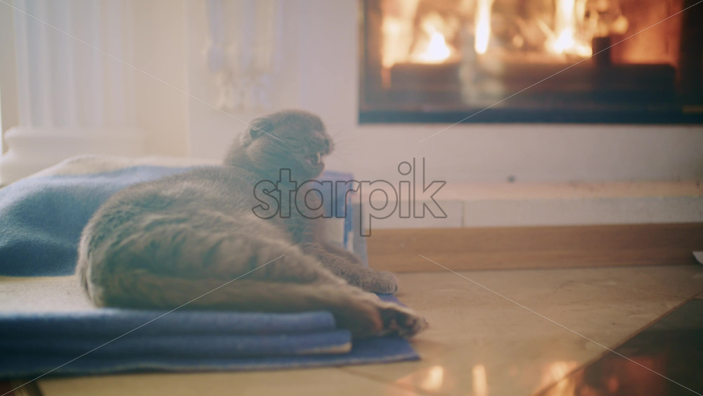 26ian53.mov - Starpik Stock