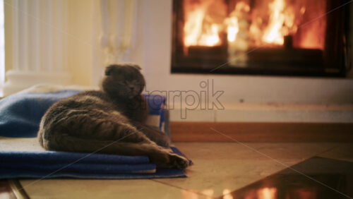 26ian54.mov - Starpik Stock