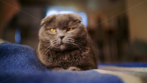 26ian55.mov - Starpik Stock