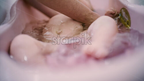 26ian56.mov - Starpik Stock