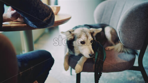 26ian64.mov - Starpik Stock