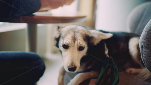 26ian65.mov - Starpik Stock